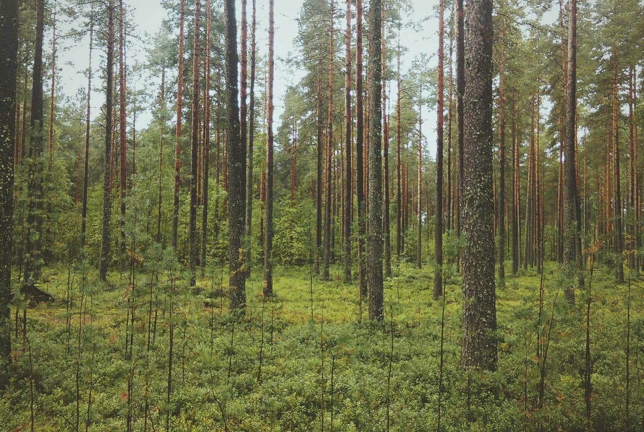 2011 Bayliner VR5 Bowrider Sport