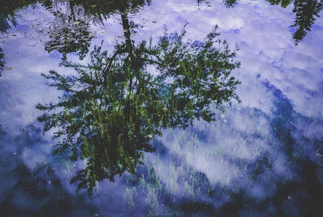 2013 Lincoln Navigator Premium AWD
